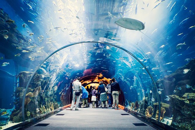 Dubai Aquarium And Underwater Zoo 